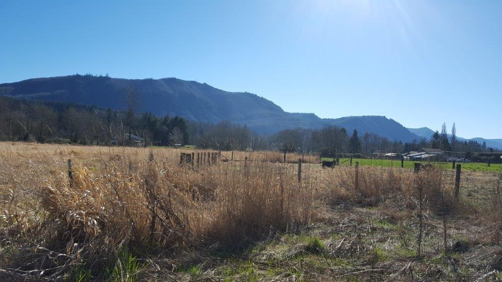0-XXX Frost Creek Rd - Photo 1