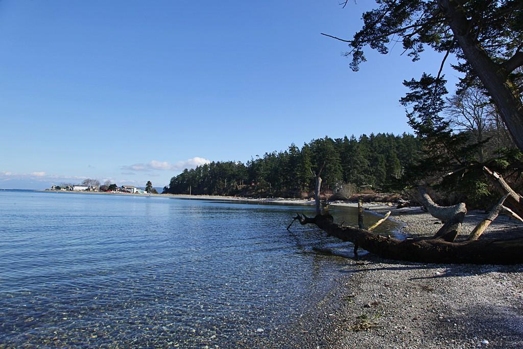 0-Lot 5 Reeder Bay Lane - Photo 1
