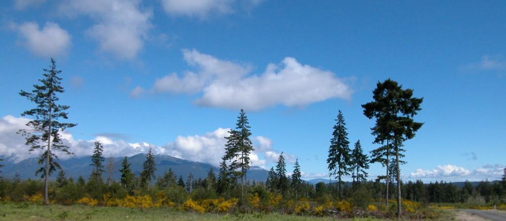0-Lot 10 Pioneer Rd - Photo 1