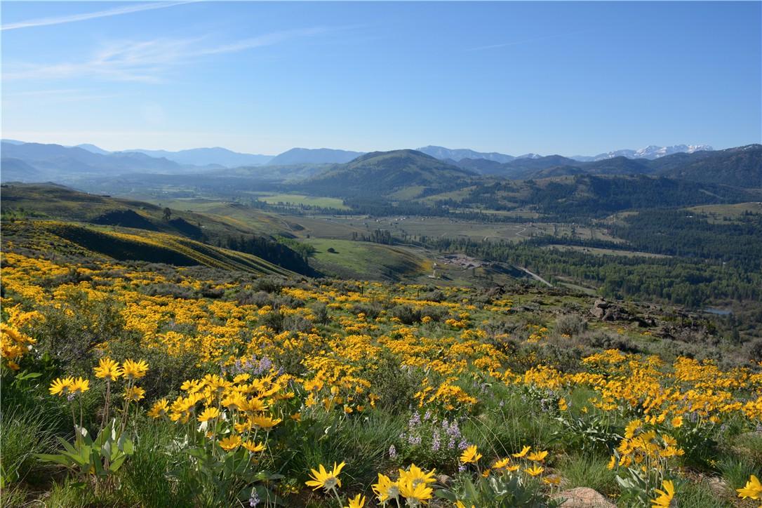 2-XX Gunn Ranch Rd - Photo 1