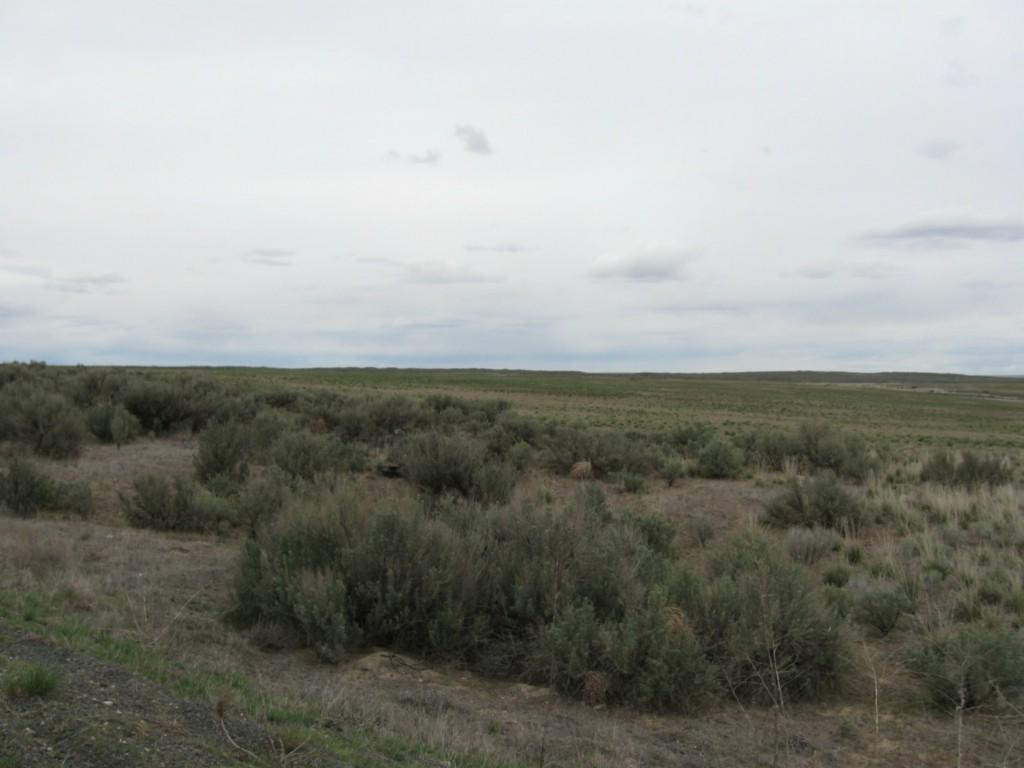 0 Hwy 28 - Photo 1