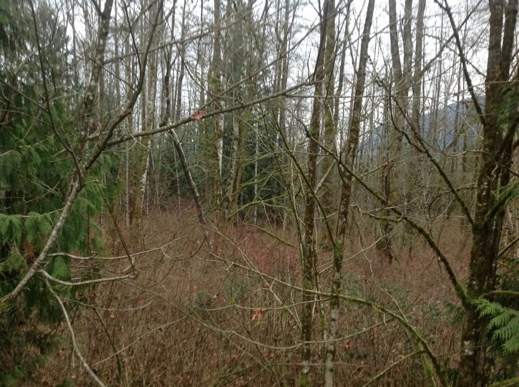 22-xx Lake Cavanaugh Rd - Photo 1