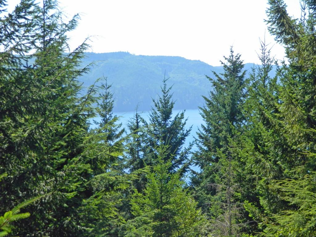200 Will Webb Rd - Photo 1