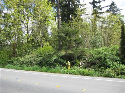 304-XX 28th Ave - Photo 1
