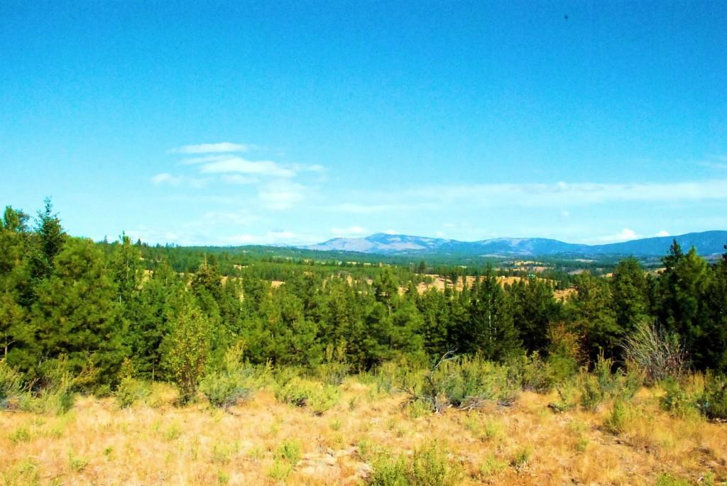 0-NNA Cottontail Lane - Photo 1