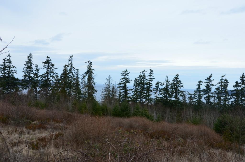 11 View Ridge Dr. - Photo 1