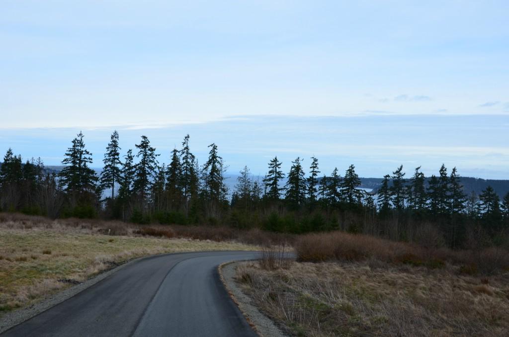 41 View Ridge Dr. - Photo 1