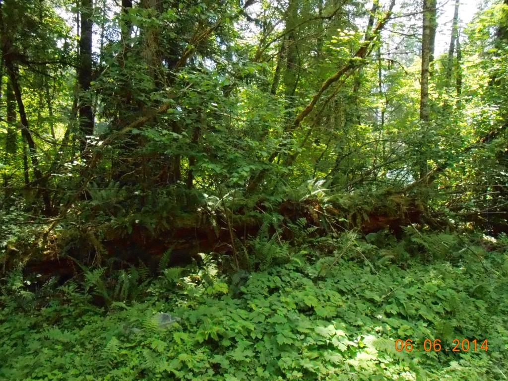 22 Richer Dr - Photo 1