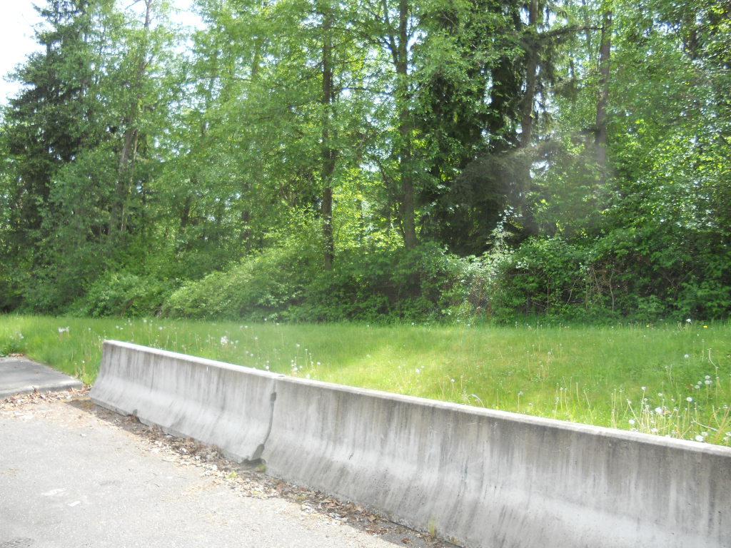 7300 Puget Park Dr - Photo 1