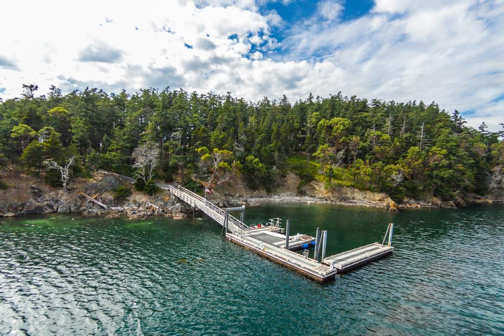 1 Trump Island - Photo 1