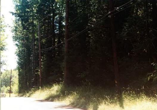0-xxxx Daniels Road - Photo 1