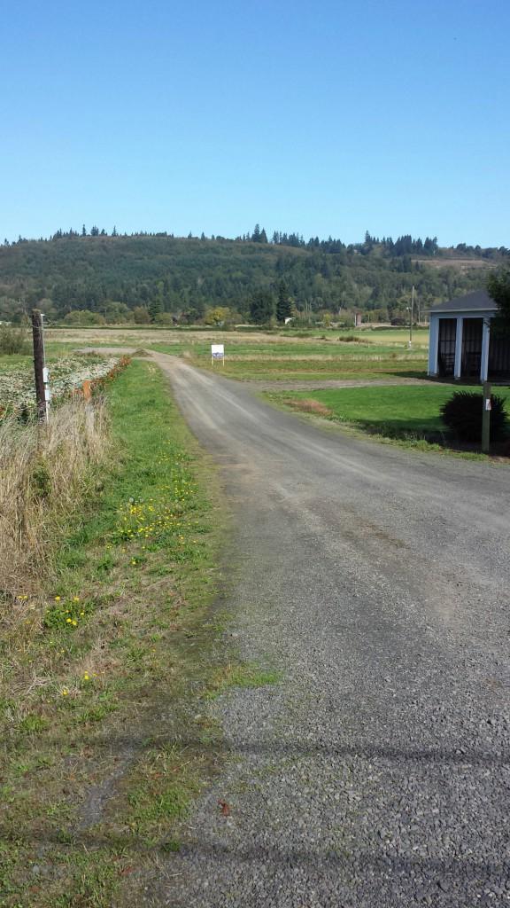 0 Carlson Dr - Photo 1