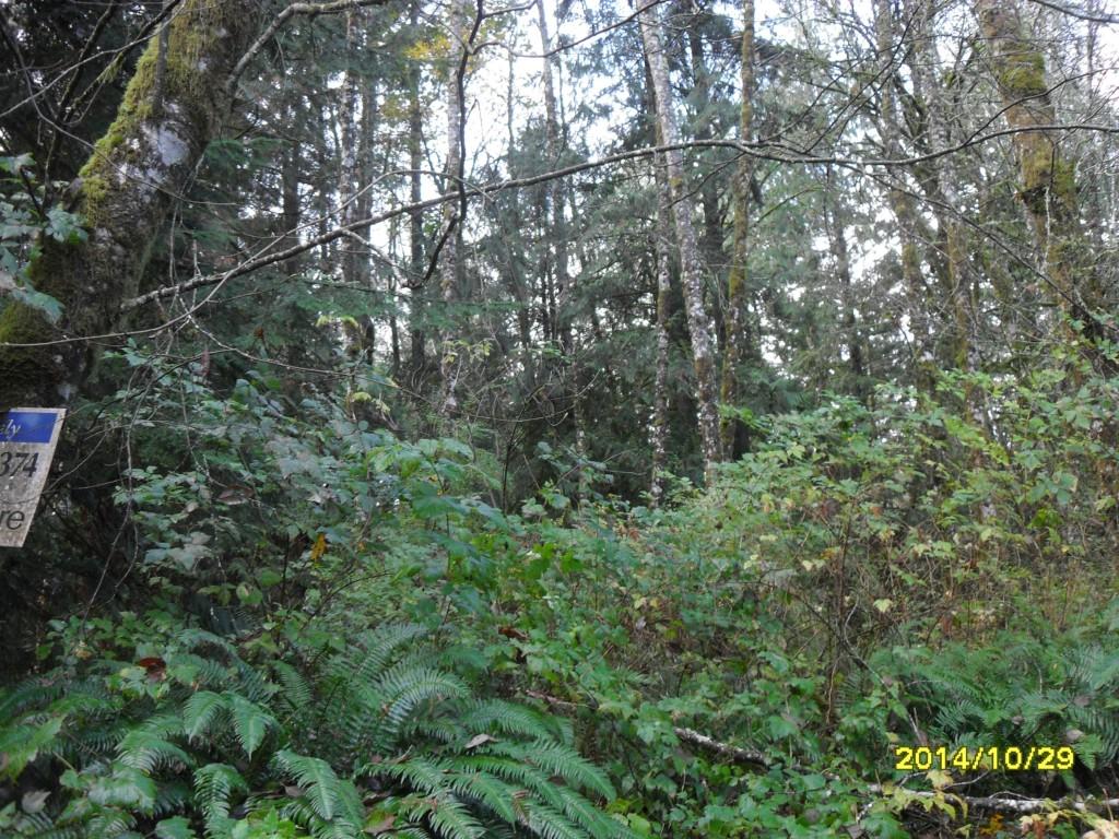 12784 Eastbrook Dr - Photo 1