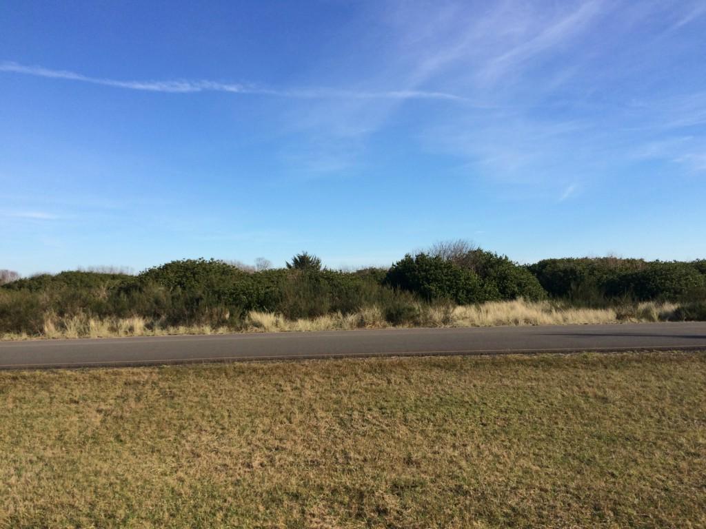 1280 Ocean Shores Blvd - Photo 1