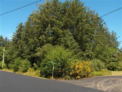 946 Hassalo Ave - Photo 1