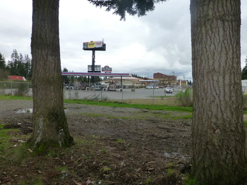 20238 Old Highway 99 - Photo 1