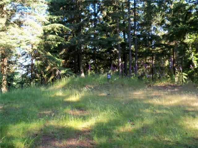 0 Tsuga Lane - Photo 1