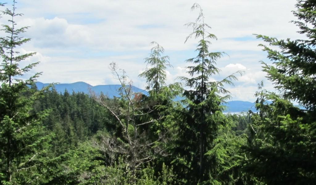 224 Salish Wy - Photo 1