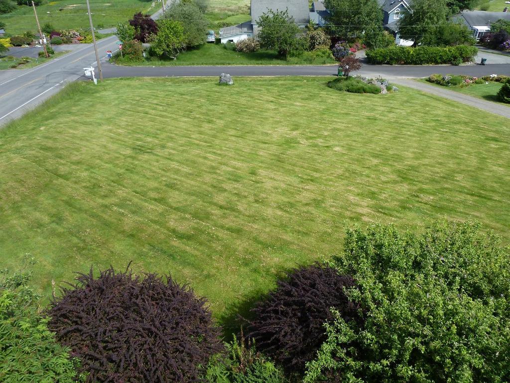 0-Lot 3 Bruce Lane & Hansville Road - Photo 1