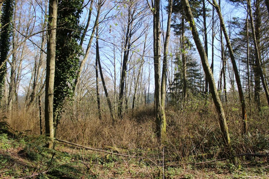 468 Partridge Rd - Photo 1