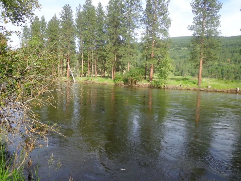 0-Lot 2 Hwy 21 - Photo 1