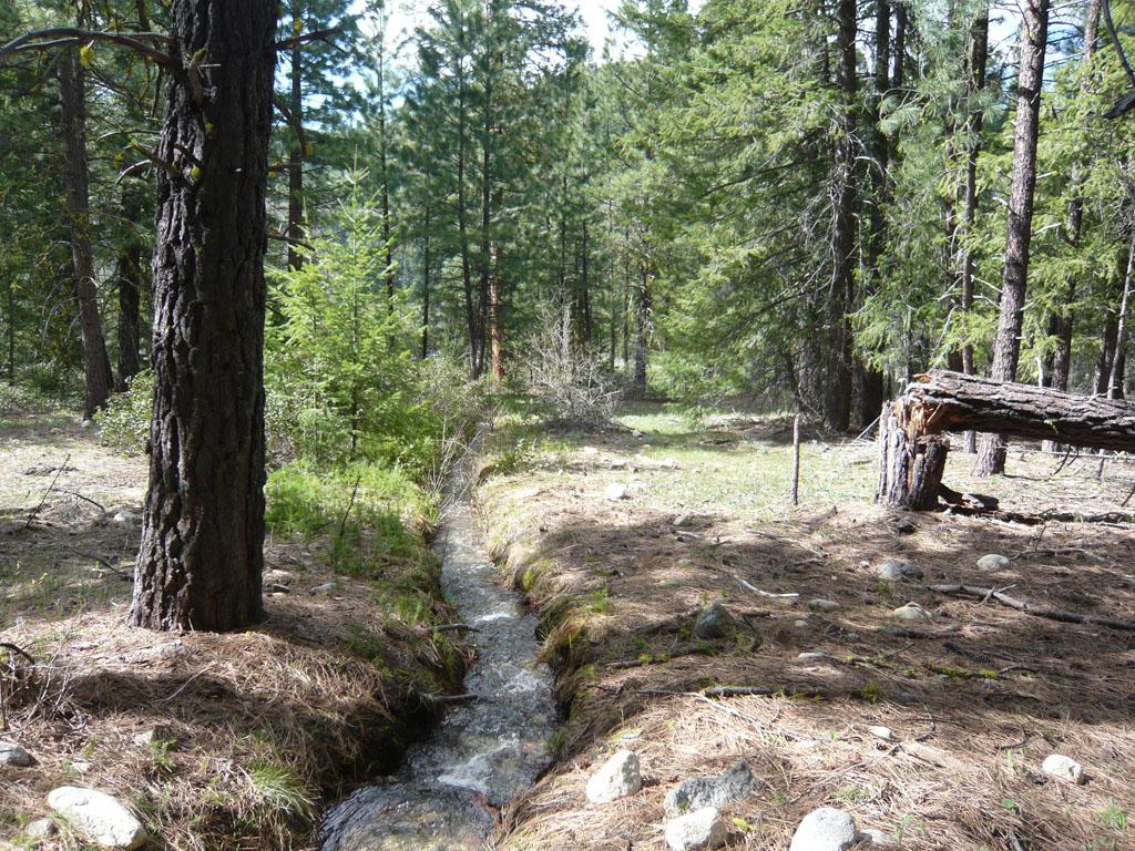 33-C Buttermilk Creek Rd - Photo 1