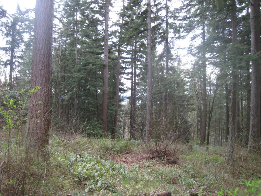 14-xx 39th St - Photo 1