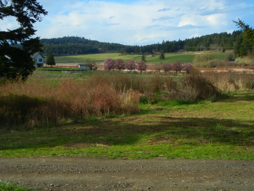 0-xxx Roche Harbor Rd - Photo 1