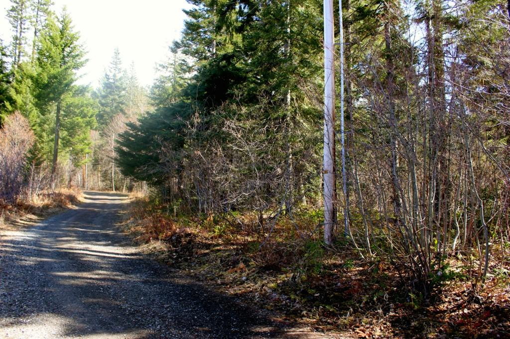 2-LOT 2 Spring Creek Rd - Photo 1