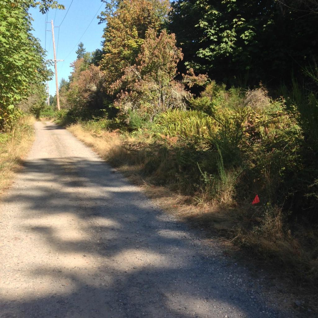 0-XXXX Winters Rd - Photo 1