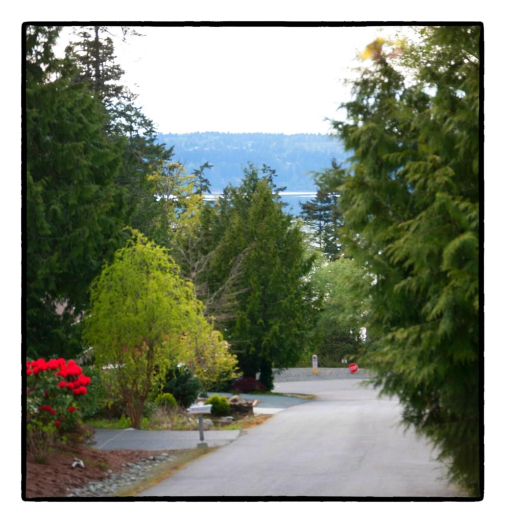 784 Lillooet Ct - Photo 1