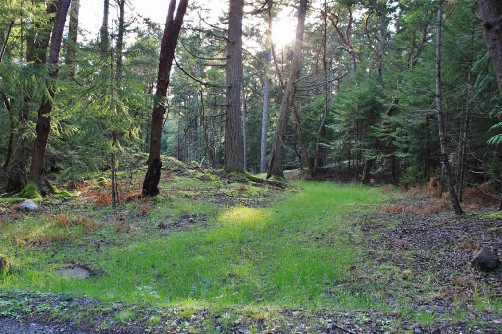 0-Lot 4 Lot 4 Spinnaker Lane - Photo 1