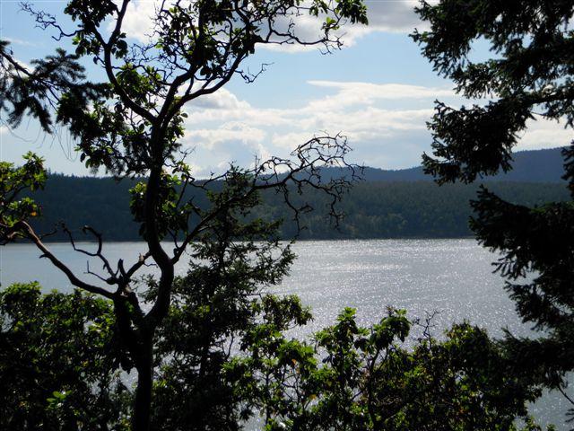 800 Shore Dr - Photo 1