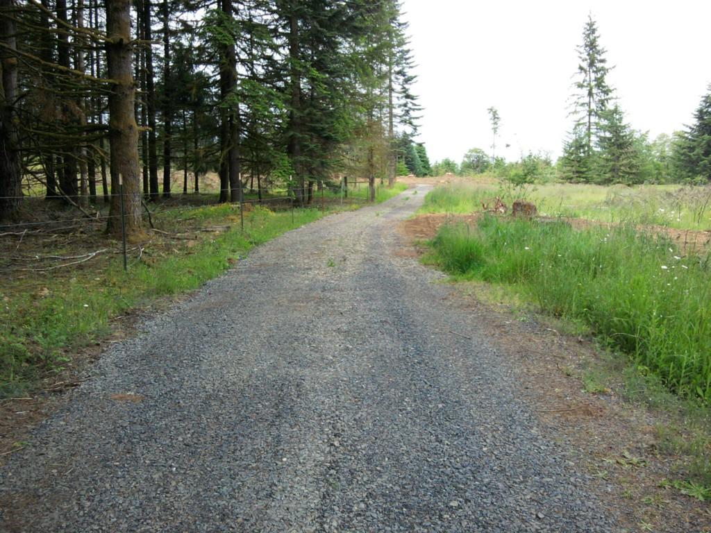 1-L Sr 603 - Photo 1