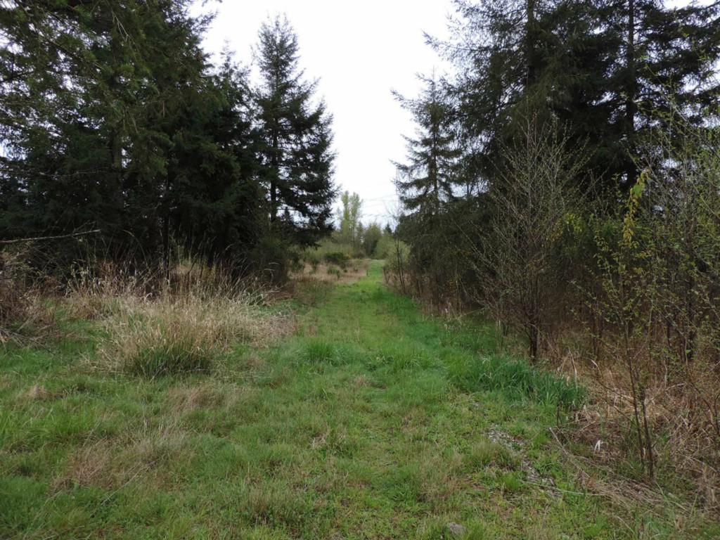 4030 150th Ave - Photo 1