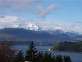 99-VAC Land Spruce - Photo 1