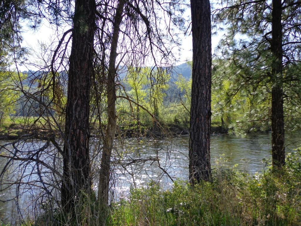 0-LotA&D2 Boundry Rd - Photo 1