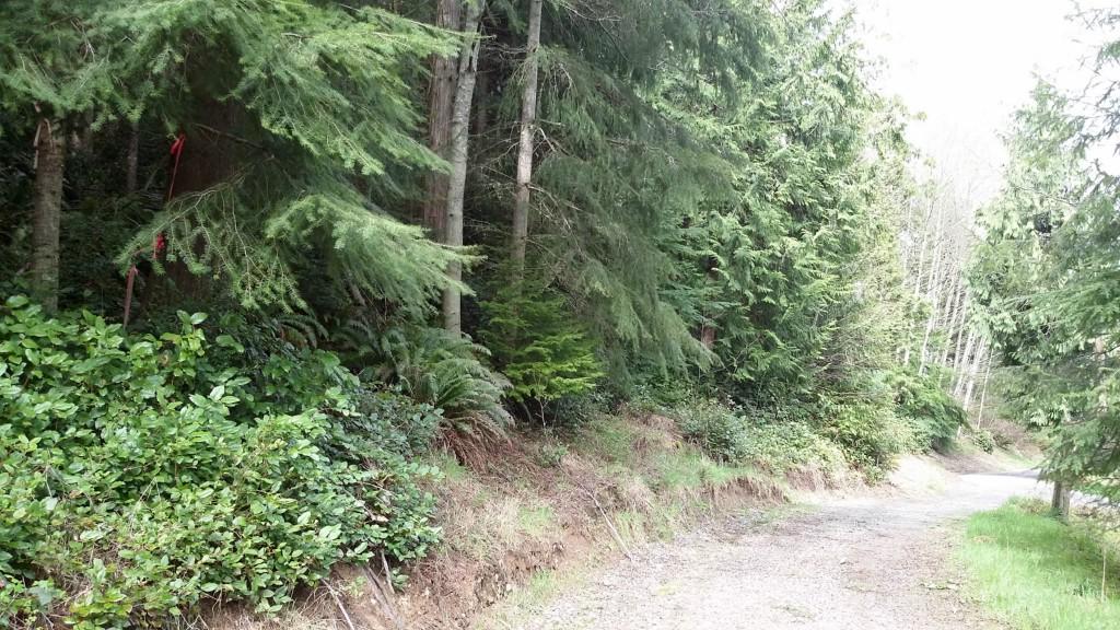 0 Saratoga Rd - Photo 1