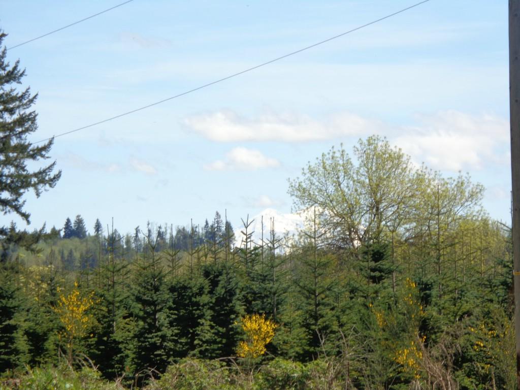 175 Blue Rd - Photo 1