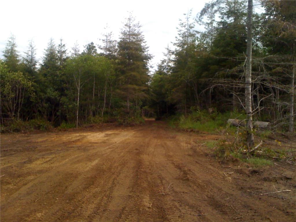 3 155th - Photo 1