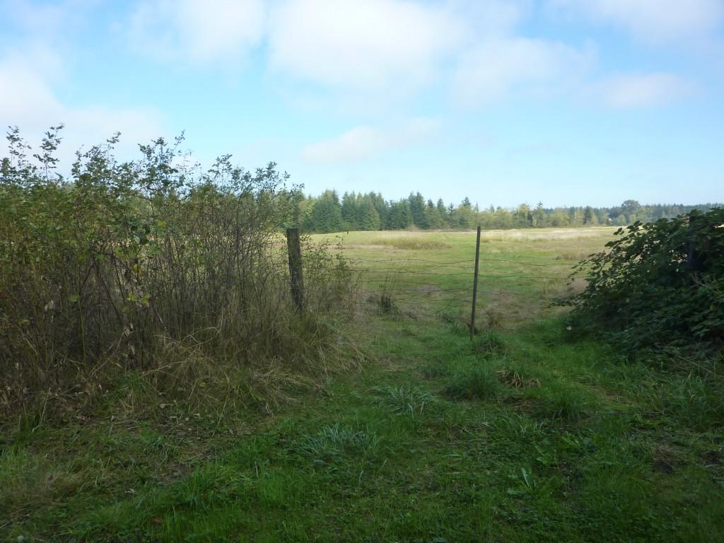 3940 Holtzheimer Trail - Photo 1