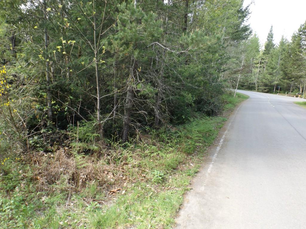 91 Kenosha Pass Rd - Photo 1