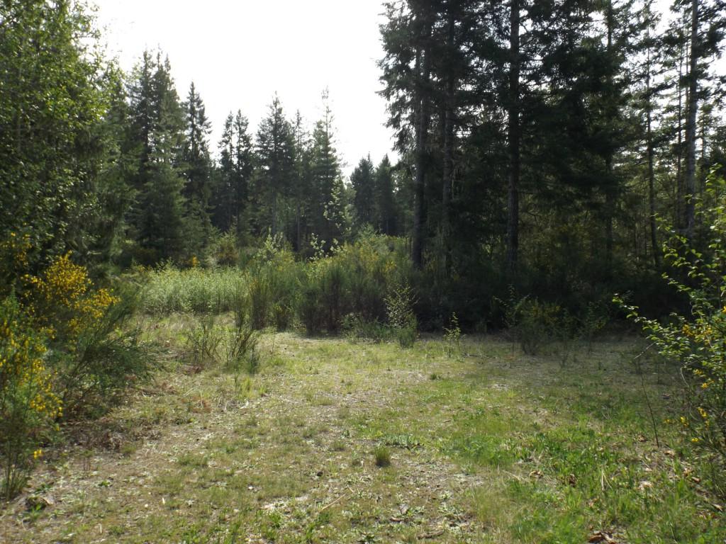 1113 Hurd Rd - Photo 1