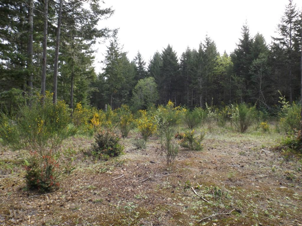 1171 Hurd Rd - Photo 1