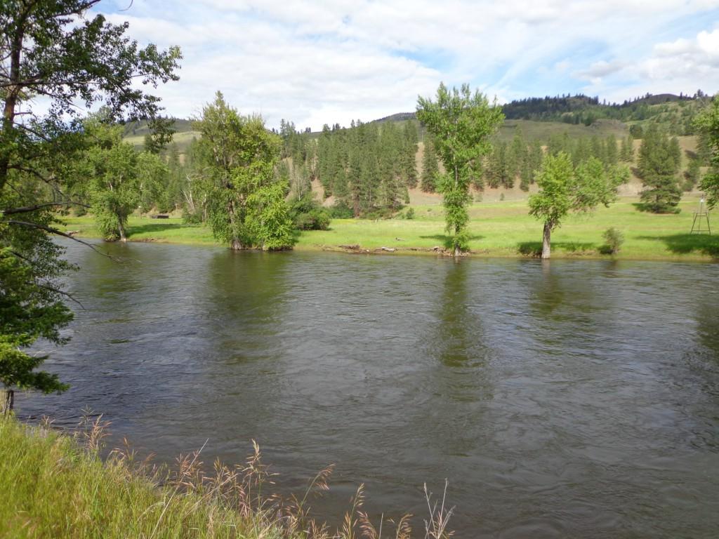 0-Lot 1 Pine Creek Lane - Photo 1