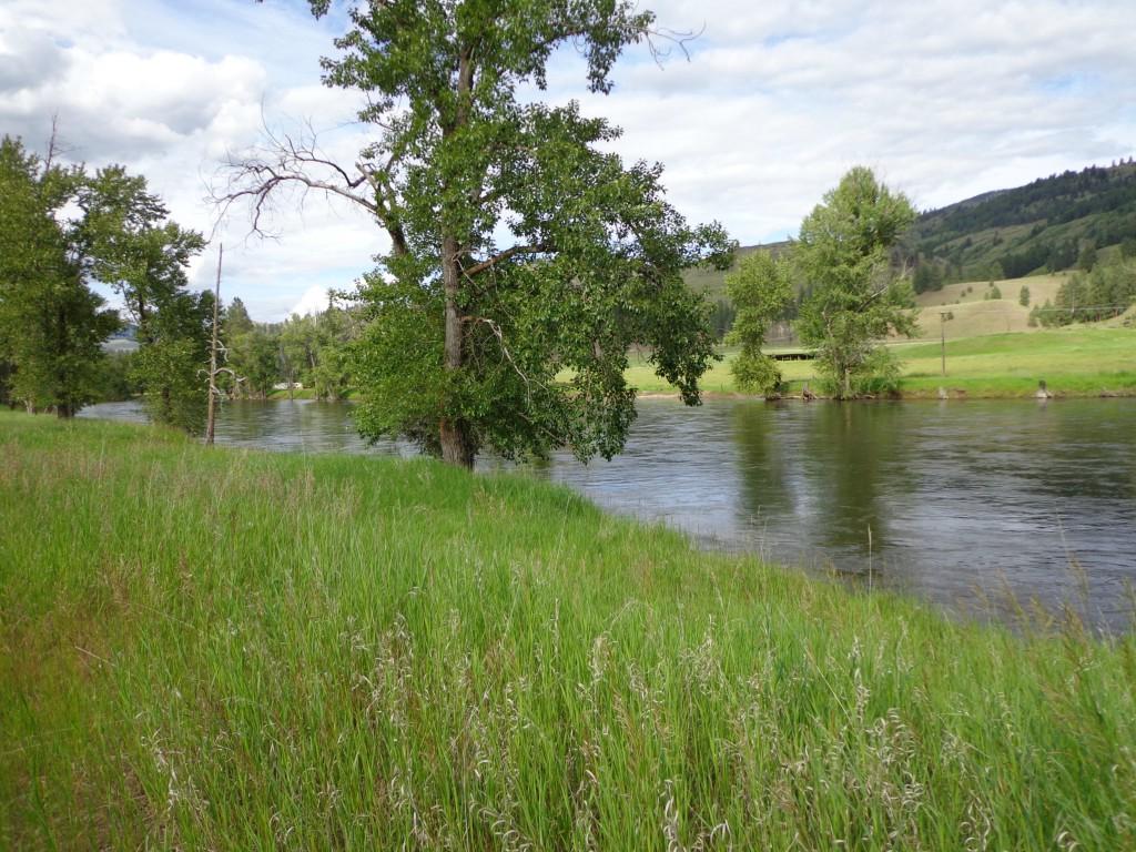 4-Lot 4 Pine Creek Lane - Photo 1
