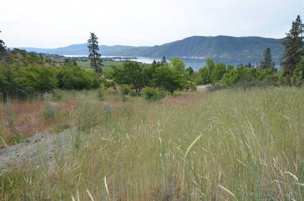 11 Capri Rd - Photo 1