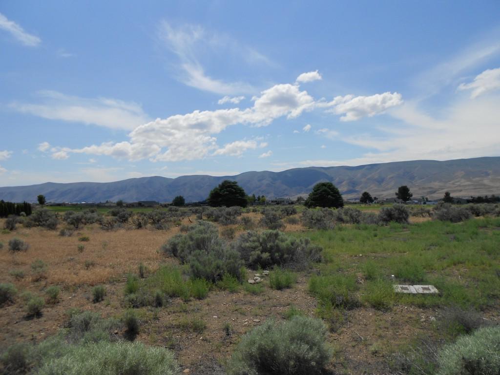817 Desert Aire Dr - Photo 1