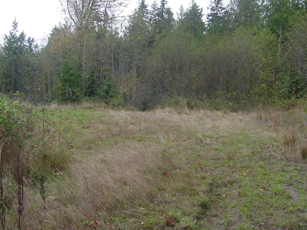 110-A Uncas Rd - Photo 1