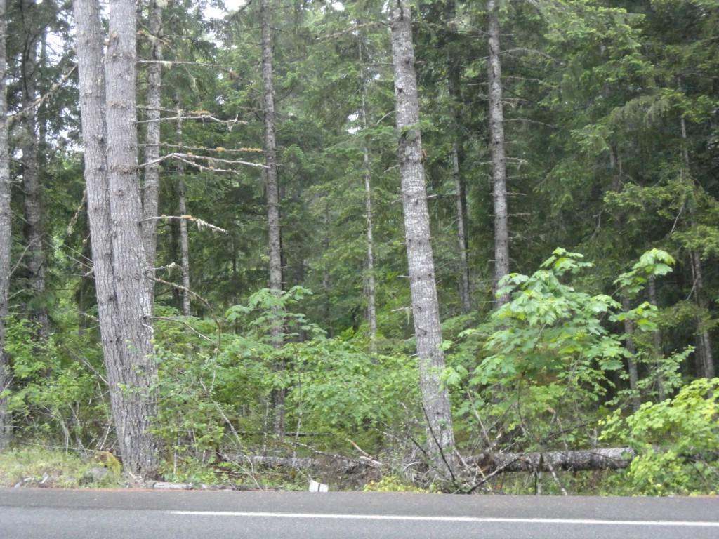0 Cannon Rd - Photo 1